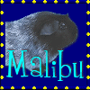 Malibu patch1.gif (8350 bytes)